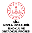 ŞİLE NECLA MORALIGİL İLKOKUL VE ORTAOKUL PROJESİ